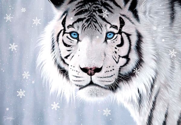 Crystal Eyes
